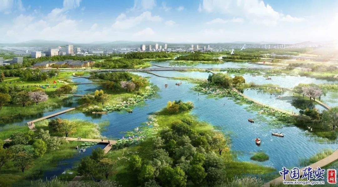 基金会与中国银行河北雄安分行进行工作座谈